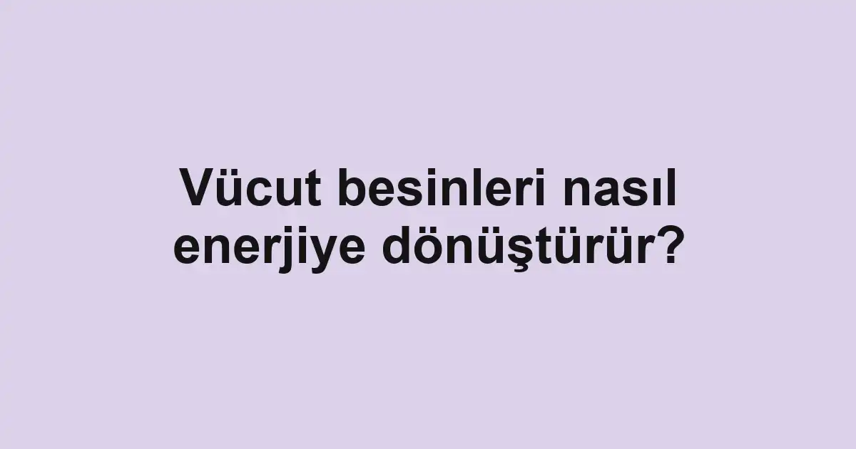 Vücut besinleri nasıl enerjiye dönüştürür?
